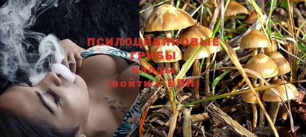 MDMA Premium VHQ Нязепетровск