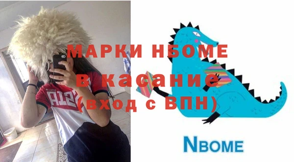 соль ск Няндома