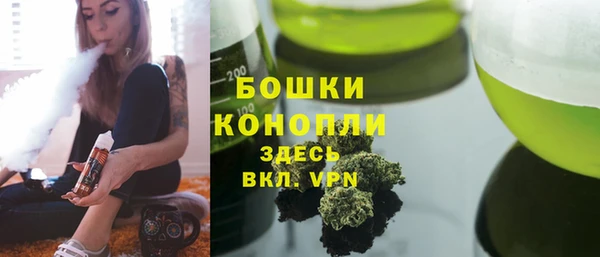 соль ск Няндома