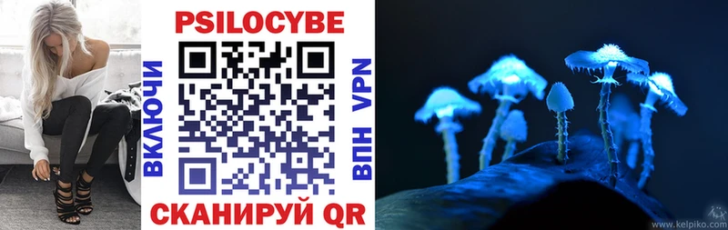 Псилоцибиновые грибы Psilocybe  Белоозёрский 